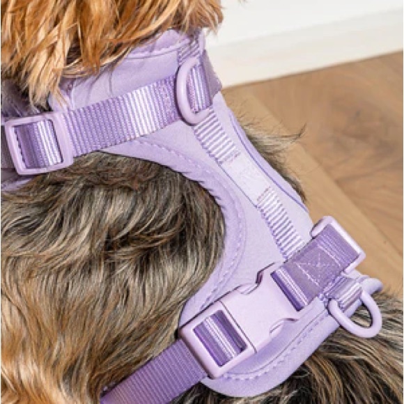 Purple Dog Harness - Picture 3 of 5